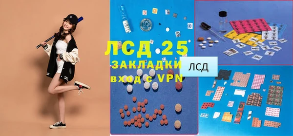 стаф Алзамай