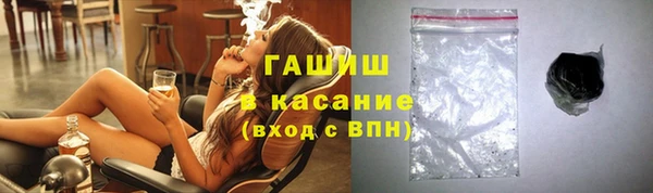 стаф Алзамай