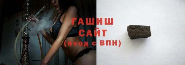 стаф Алзамай