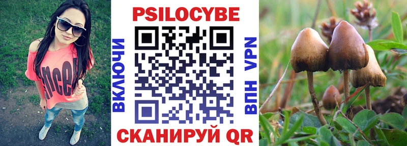 Галлюциногенные грибы Psilocybine cubensis  Калач-на-Дону 